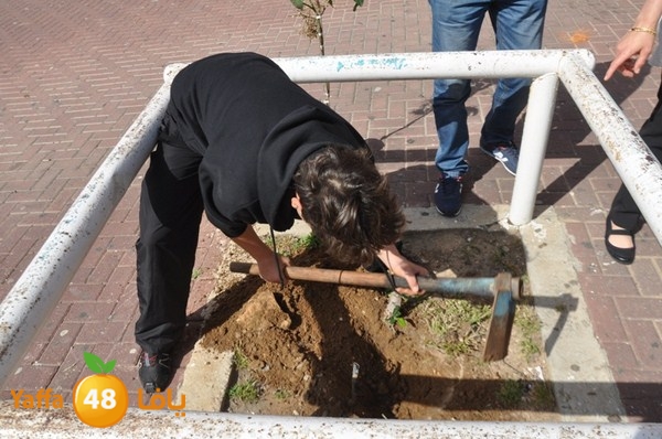 trees shamela 0321 (29).JPG